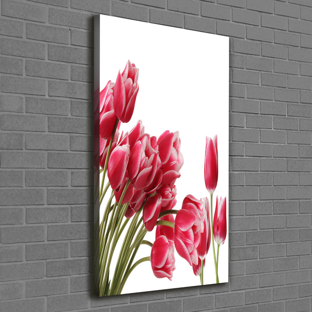 Canvas wall art Red tulips