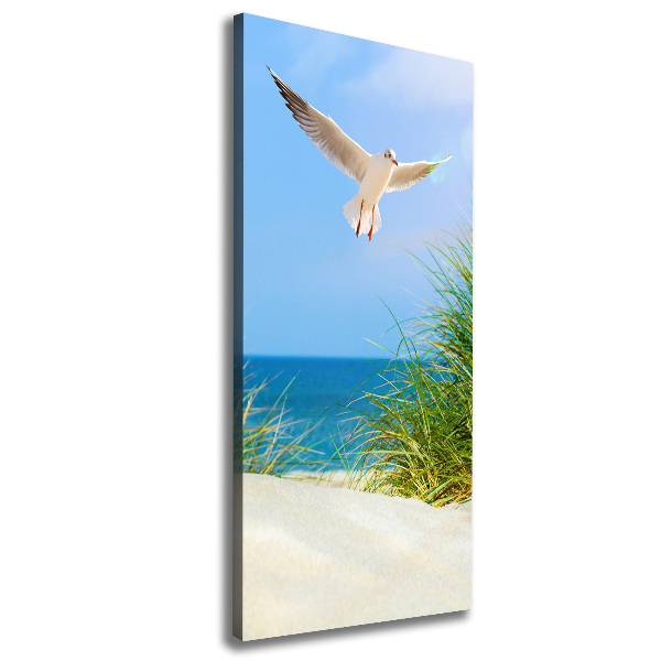 Canvas wall art Seagull over the dunes