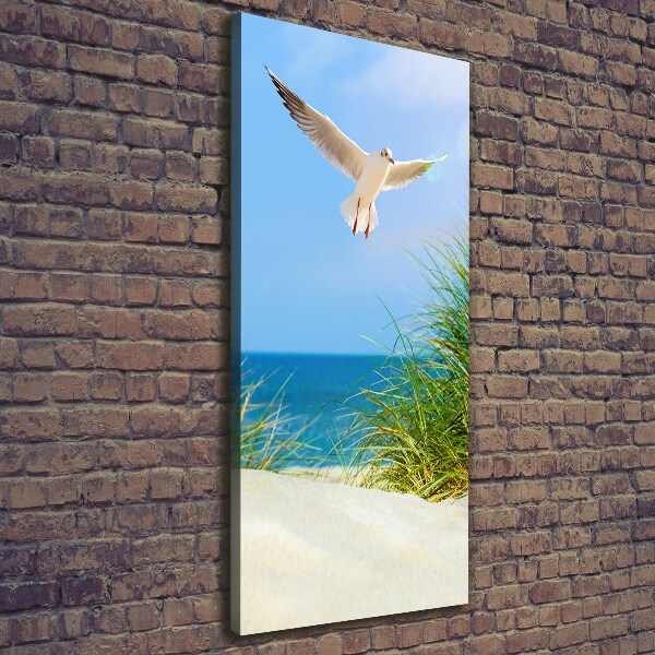 Canvas wall art Seagull over the dunes