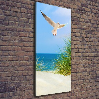 Canvas wall art Seagull over the dunes