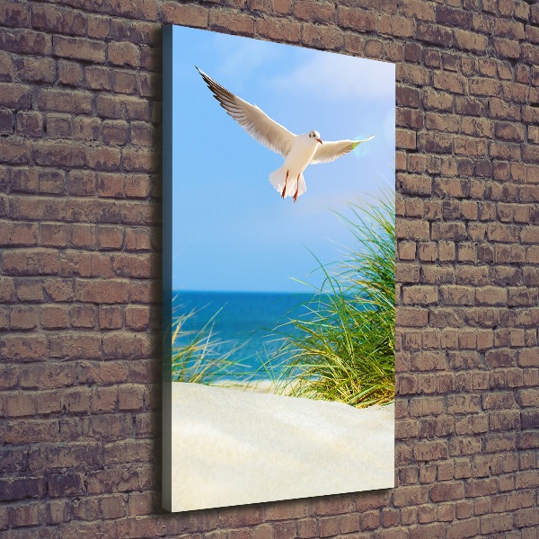 Canvas wall art Seagull over the dunes