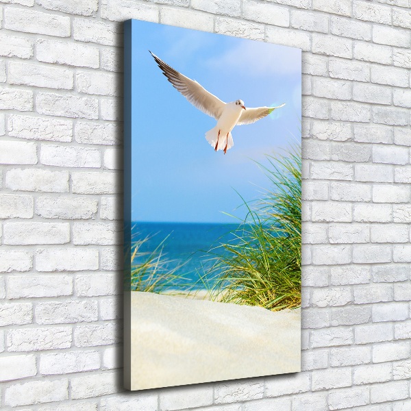 Canvas wall art Seagull over the dunes