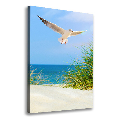 Canvas wall art Seagull over the dunes