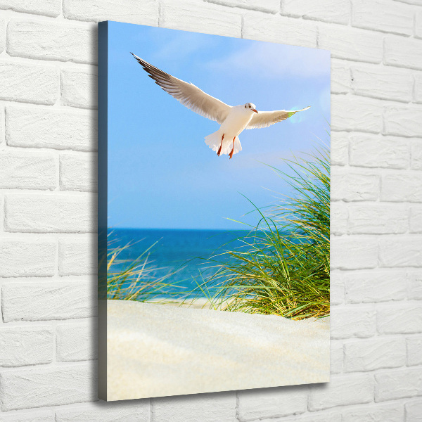 Canvas wall art Seagull over the dunes