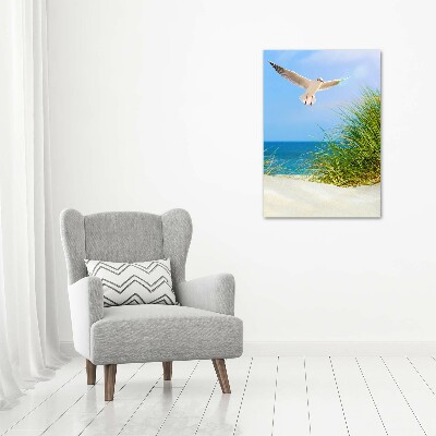 Canvas wall art Seagull over the dunes