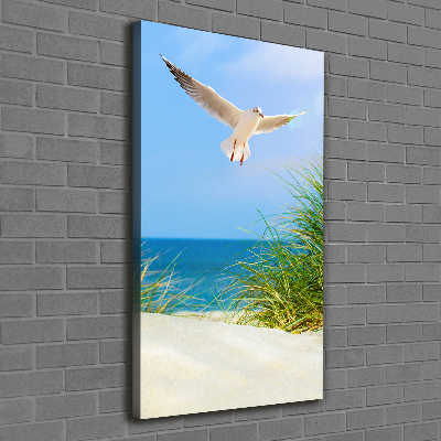 Canvas wall art Seagull over the dunes