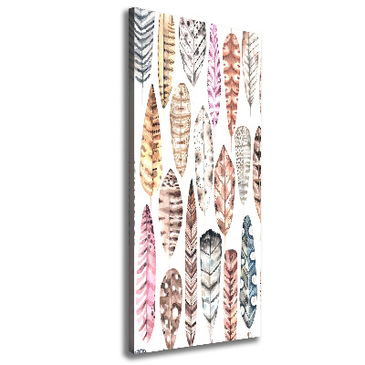 Canvas wall art Colorful feathers