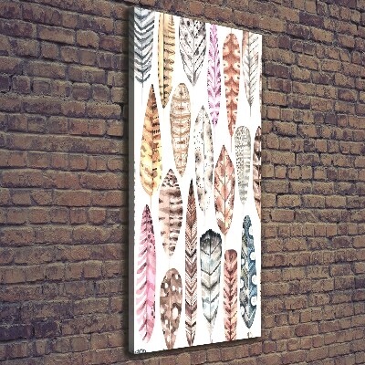 Canvas wall art Colorful feathers