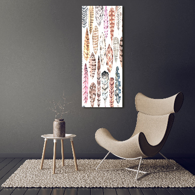 Canvas wall art Colorful feathers