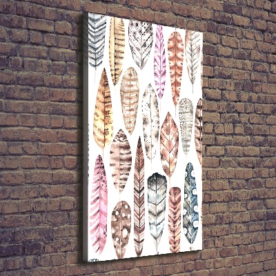 Canvas wall art Colorful feathers