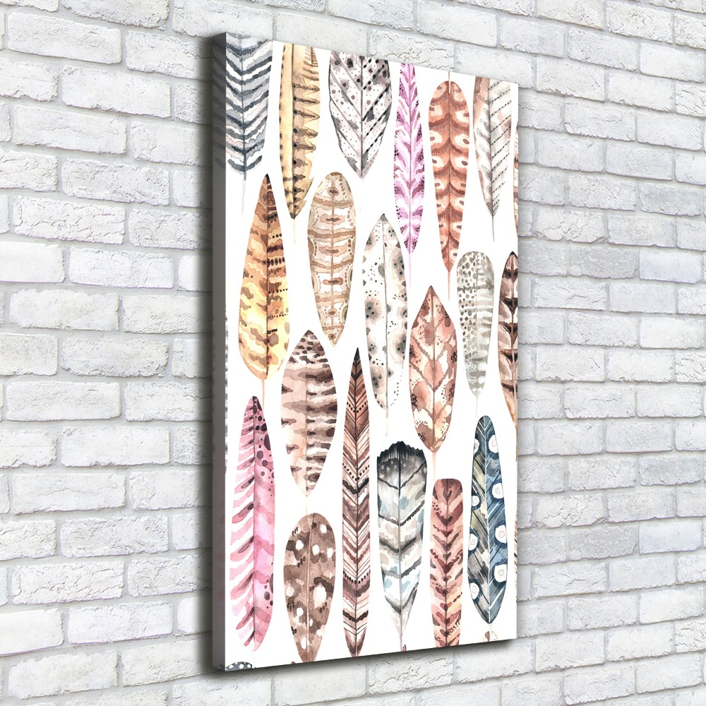 Canvas wall art Colorful feathers