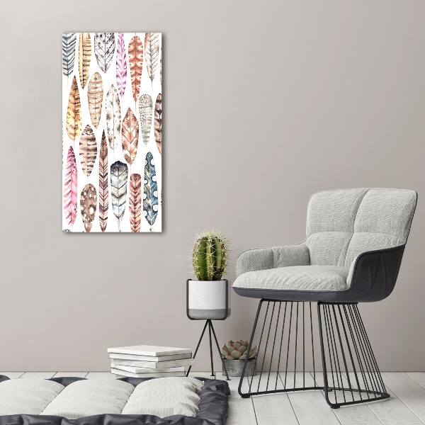 Canvas wall art Colorful feathers