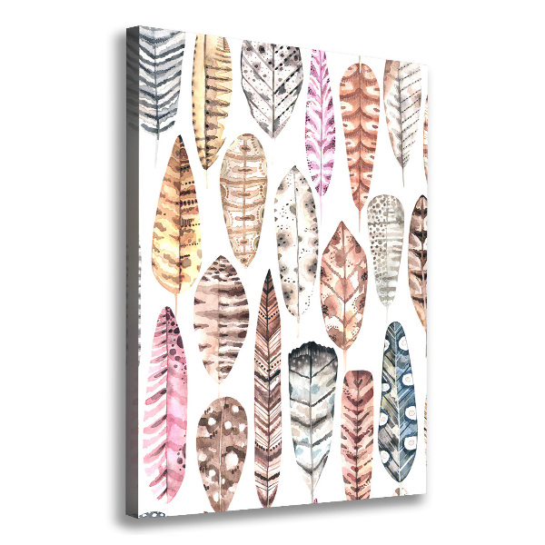 Canvas wall art Colorful feathers