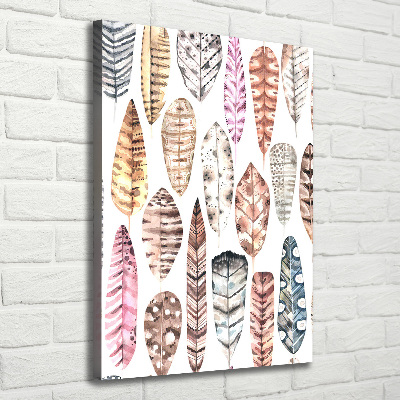 Canvas wall art Colorful feathers