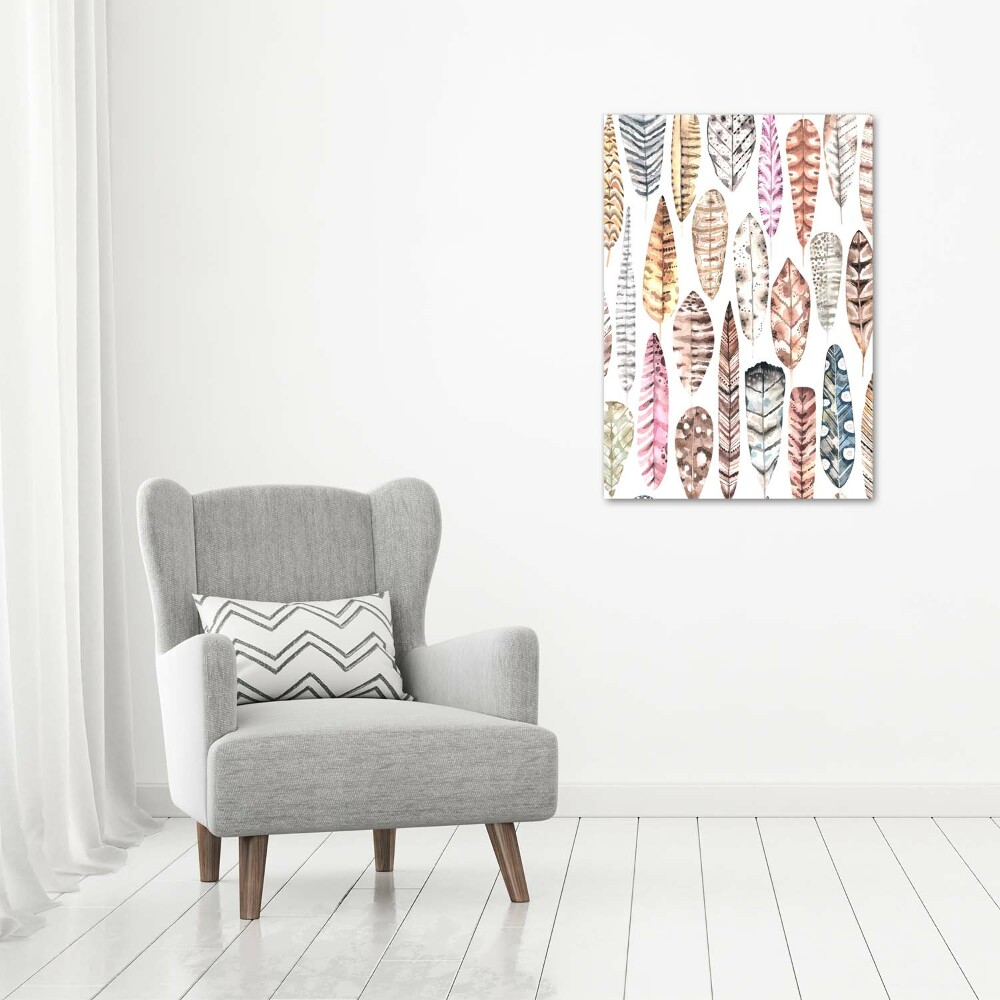 Canvas wall art Colorful feathers