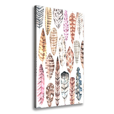 Canvas wall art Colorful feathers