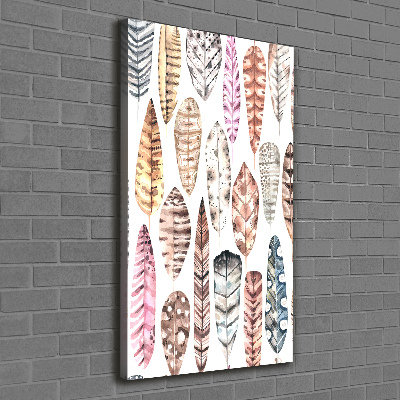 Canvas wall art Colorful feathers