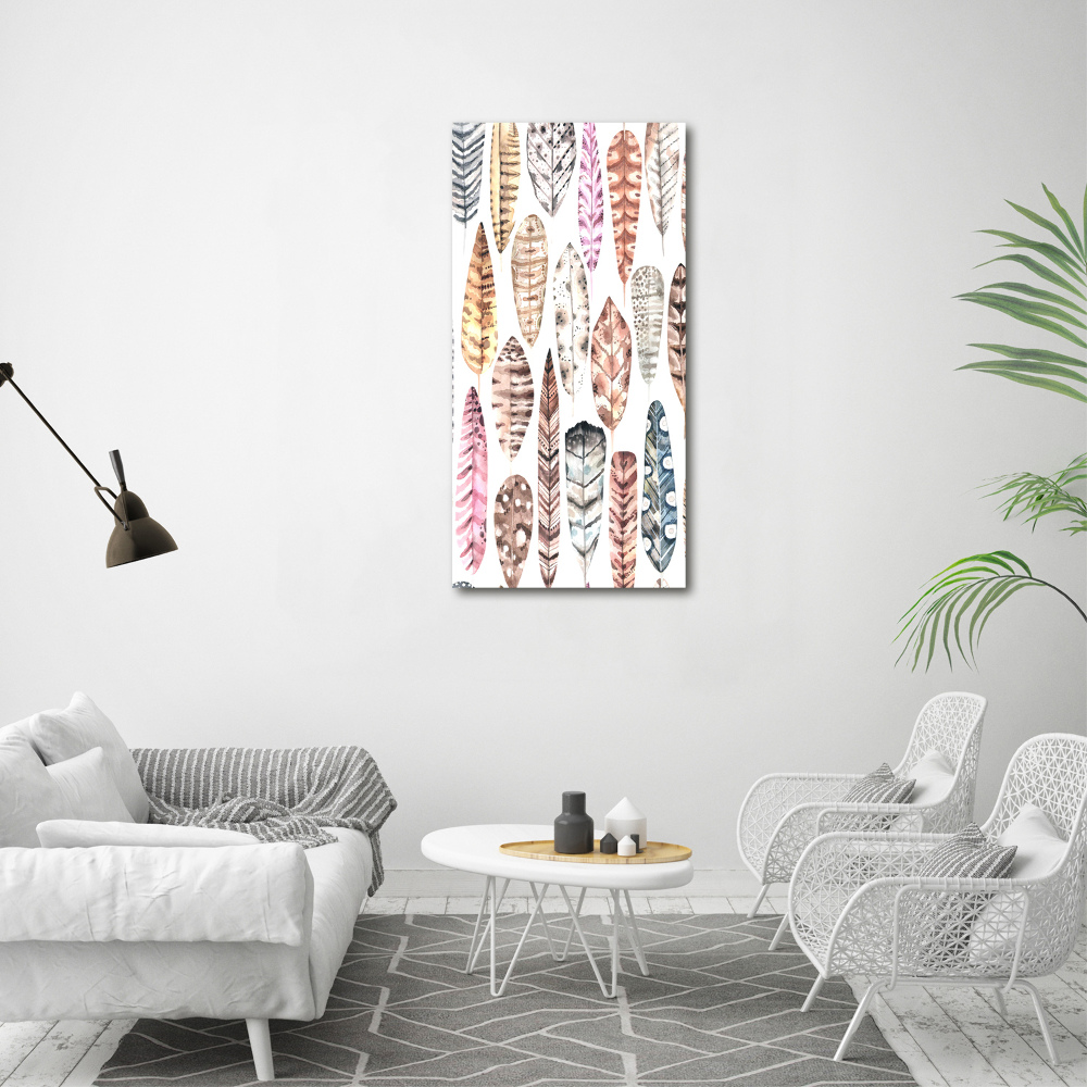 Canvas wall art Colorful feathers