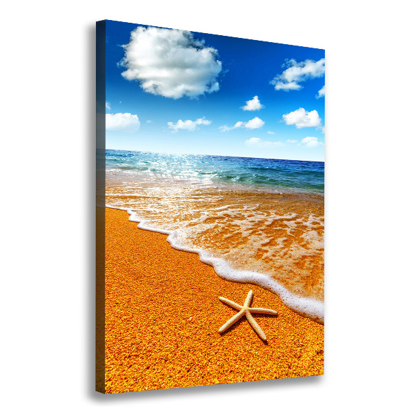 Large canvas wall art Starfish