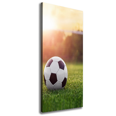 Large canvas wall art Football