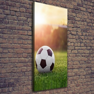 Large canvas wall art Football