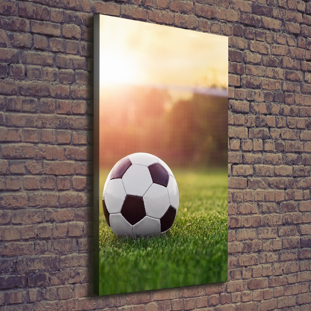 Large canvas wall art Football