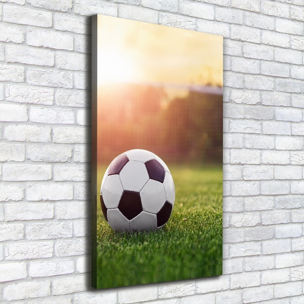 Large canvas wall art Football