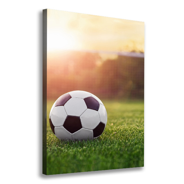 Large canvas wall art Football