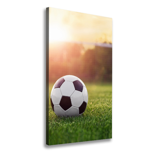 Large canvas wall art Football