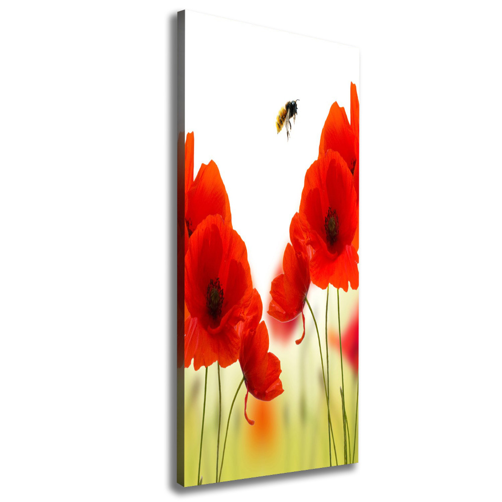 Large canvas wall art Field poppies