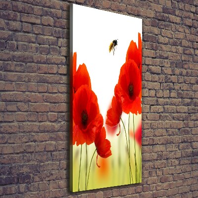 Large canvas wall art Field poppies