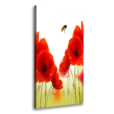 Large canvas wall art Field poppies