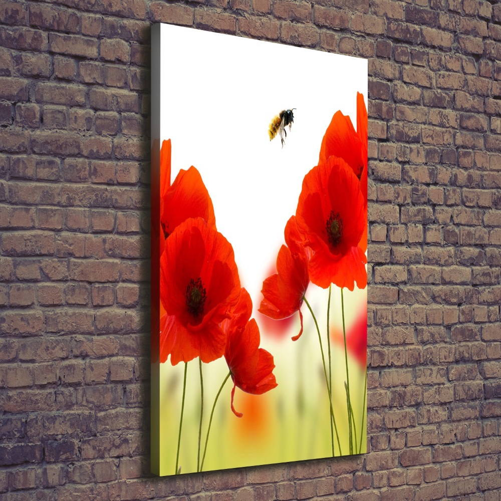 Large canvas wall art Field poppies