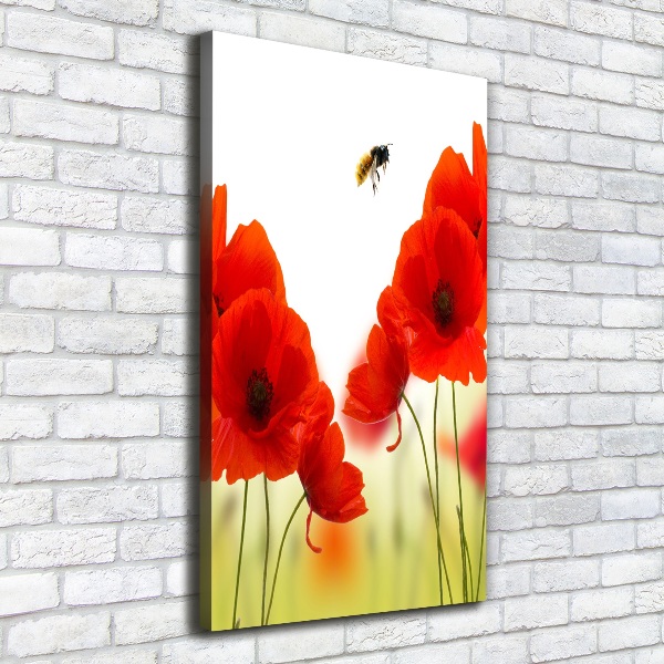 Large canvas wall art Field poppies