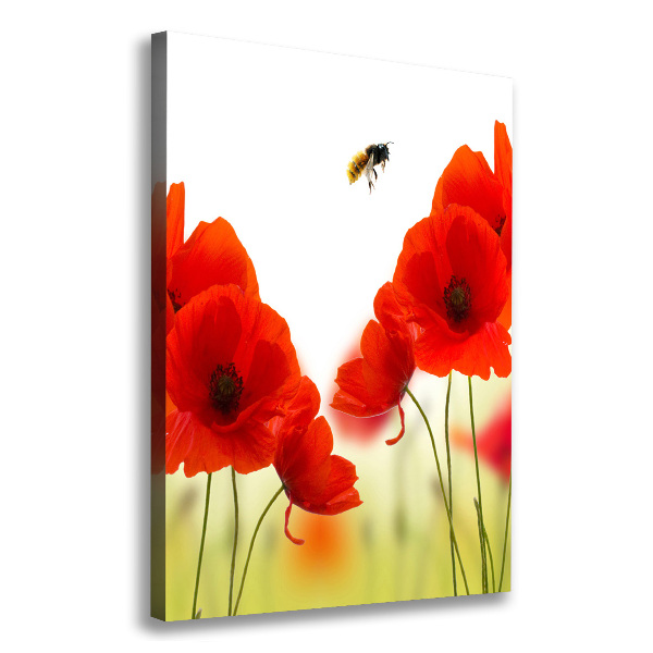 Large canvas wall art Field poppies