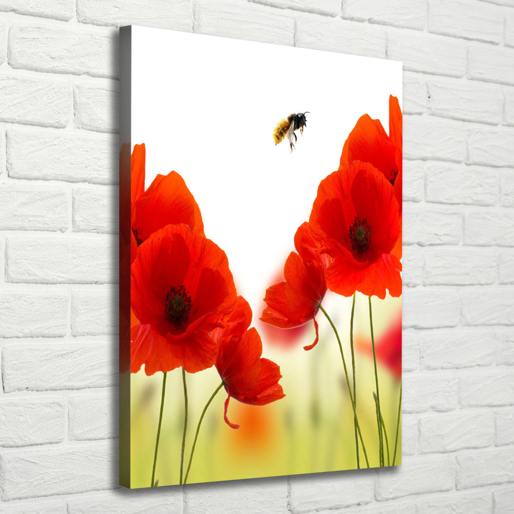 Large canvas wall art Field poppies