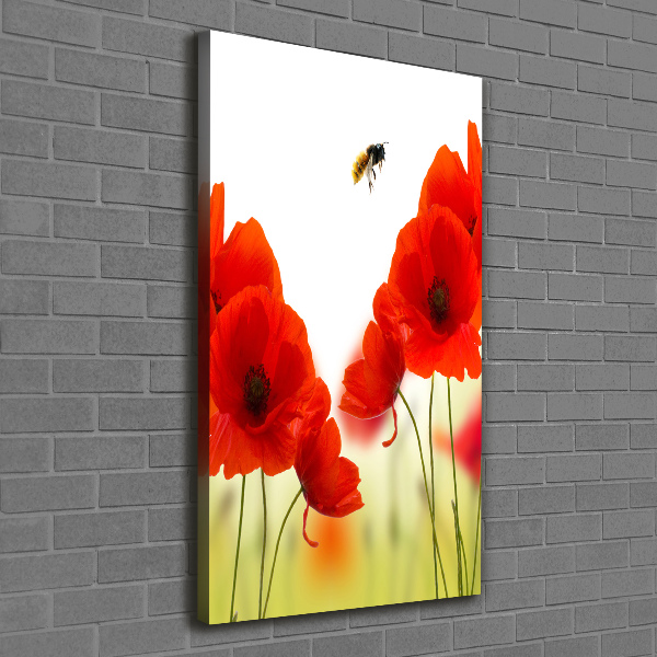 Large canvas wall art Field poppies