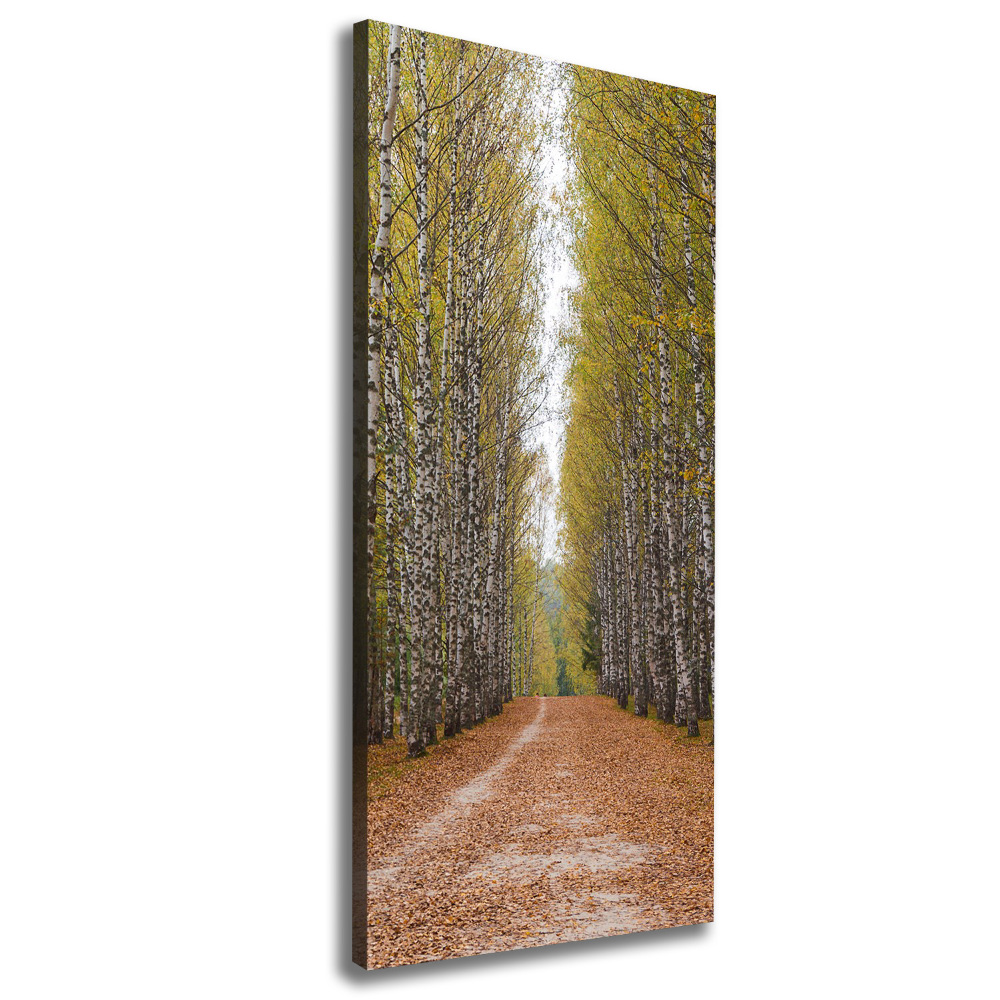 Wall art canvas large Birch forest