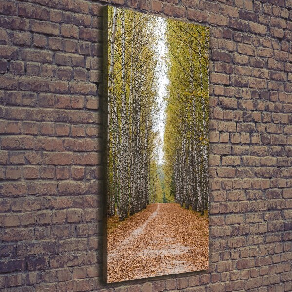 Wall art canvas large Birch forest