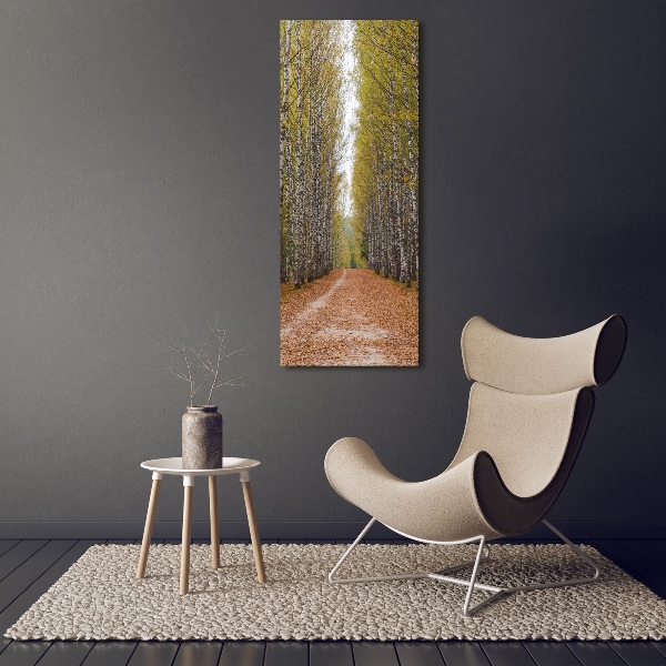 Wall art canvas large Birch forest