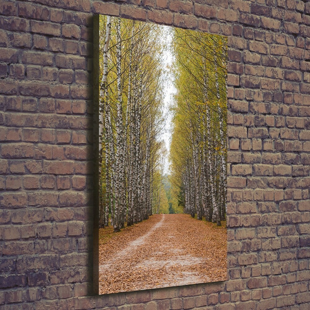 Wall art canvas large Birch forest