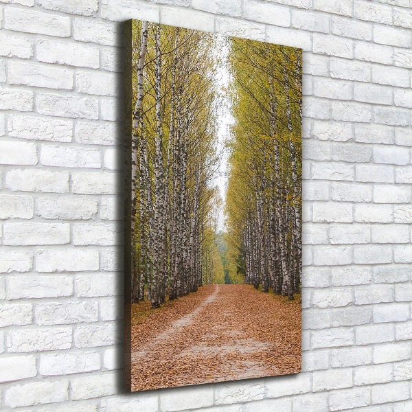 Wall art canvas large Birch forest