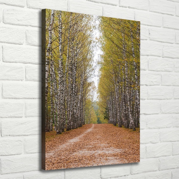 Wall art canvas large Birch forest