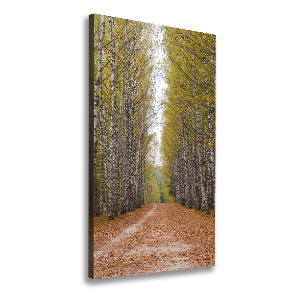 Wall art canvas large Birch forest