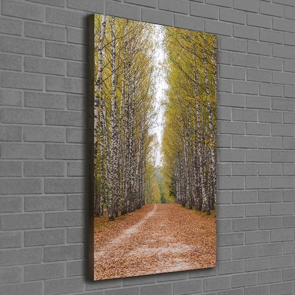 Wall art canvas large Birch forest