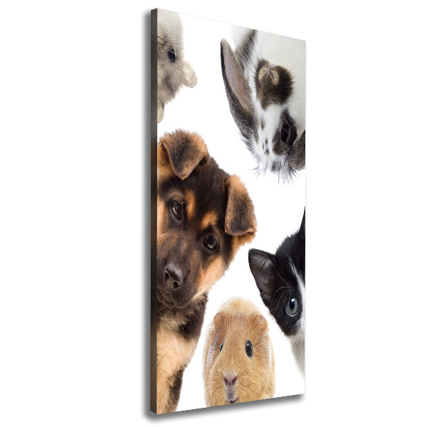 Large canvas wall art Pets