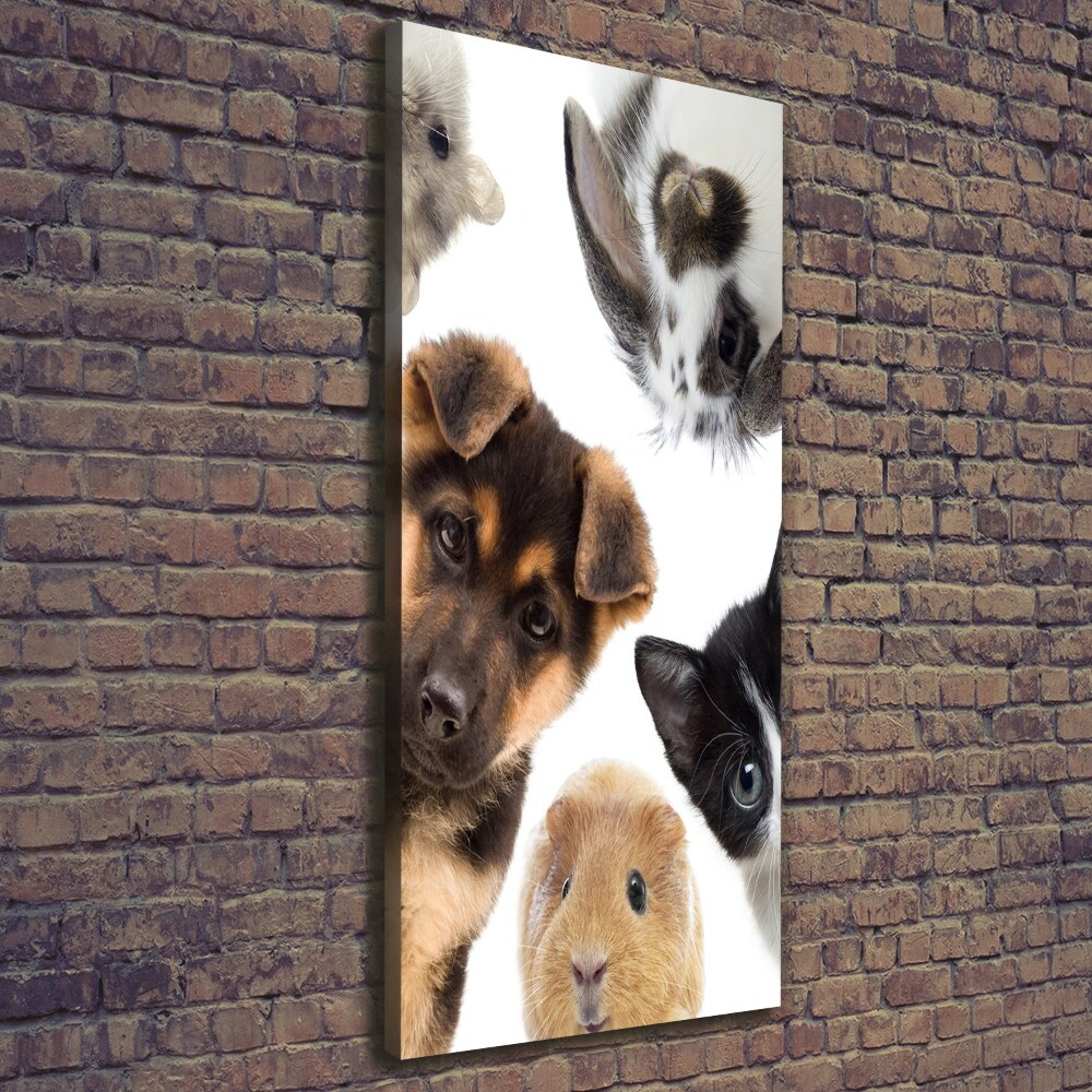 Large canvas wall art Pets