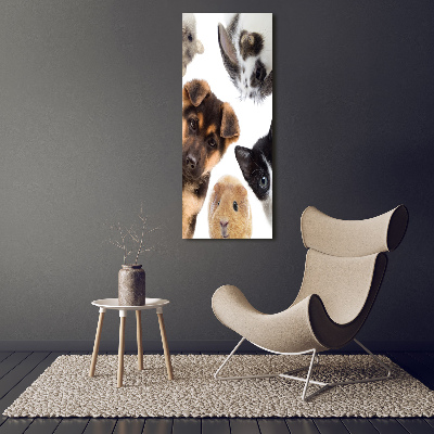 Large canvas wall art Pets