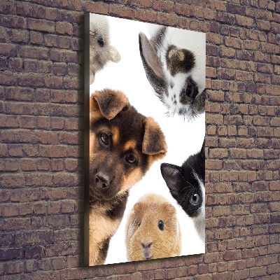 Large canvas wall art Pets