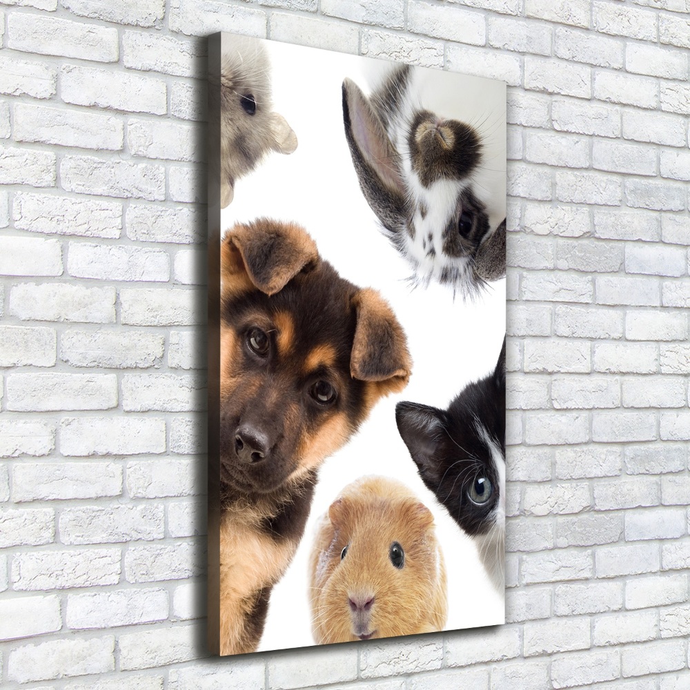 Large canvas wall art Pets